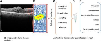 Biomarkers of Neurodegeneration and Precision Therapy in Retinal Disease